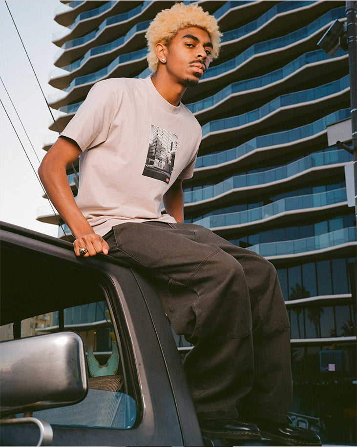 Obey