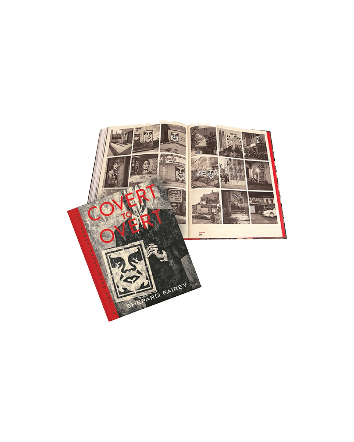 VERSTECKTES BUCH